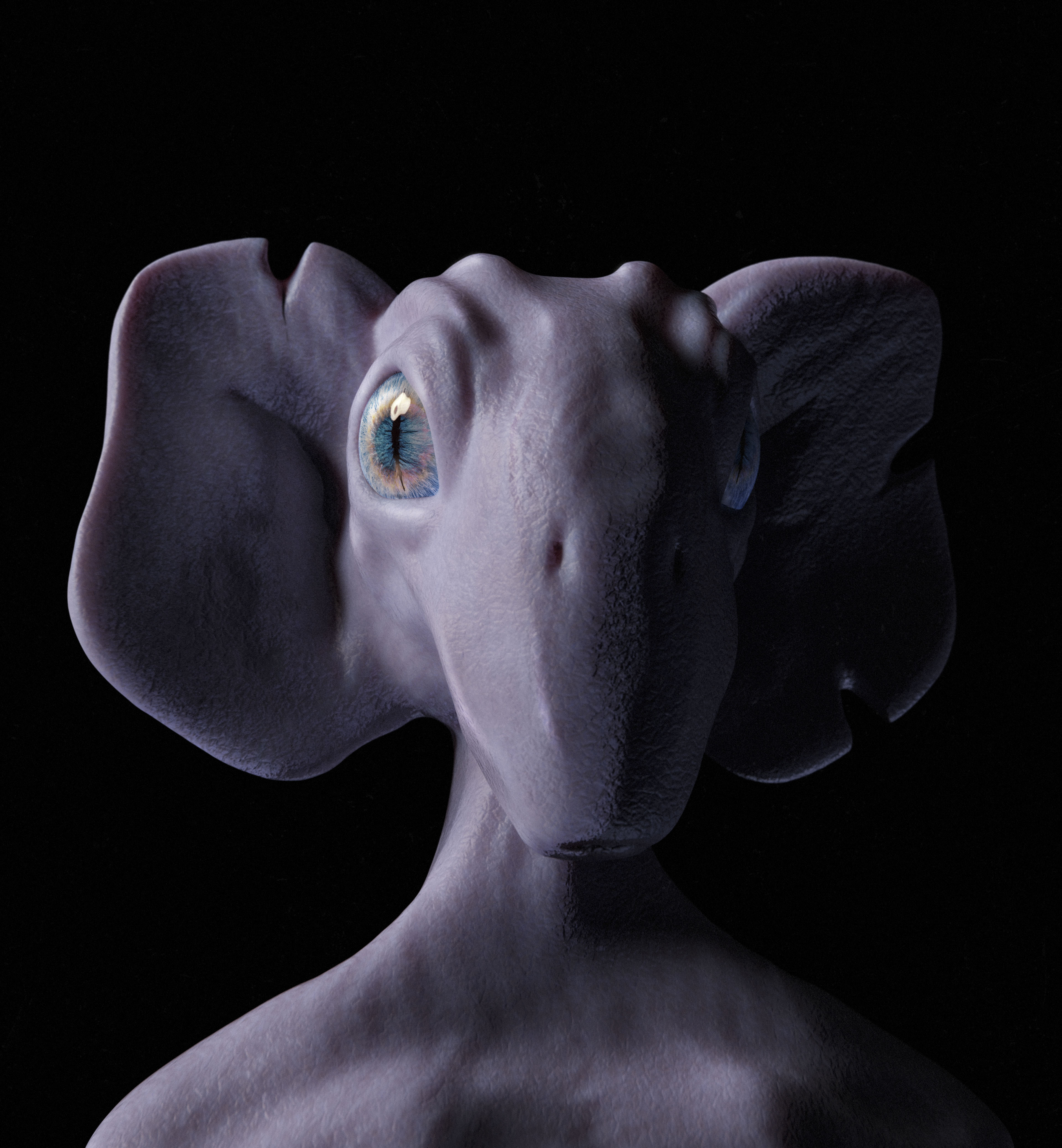 Form study — elongated portrait