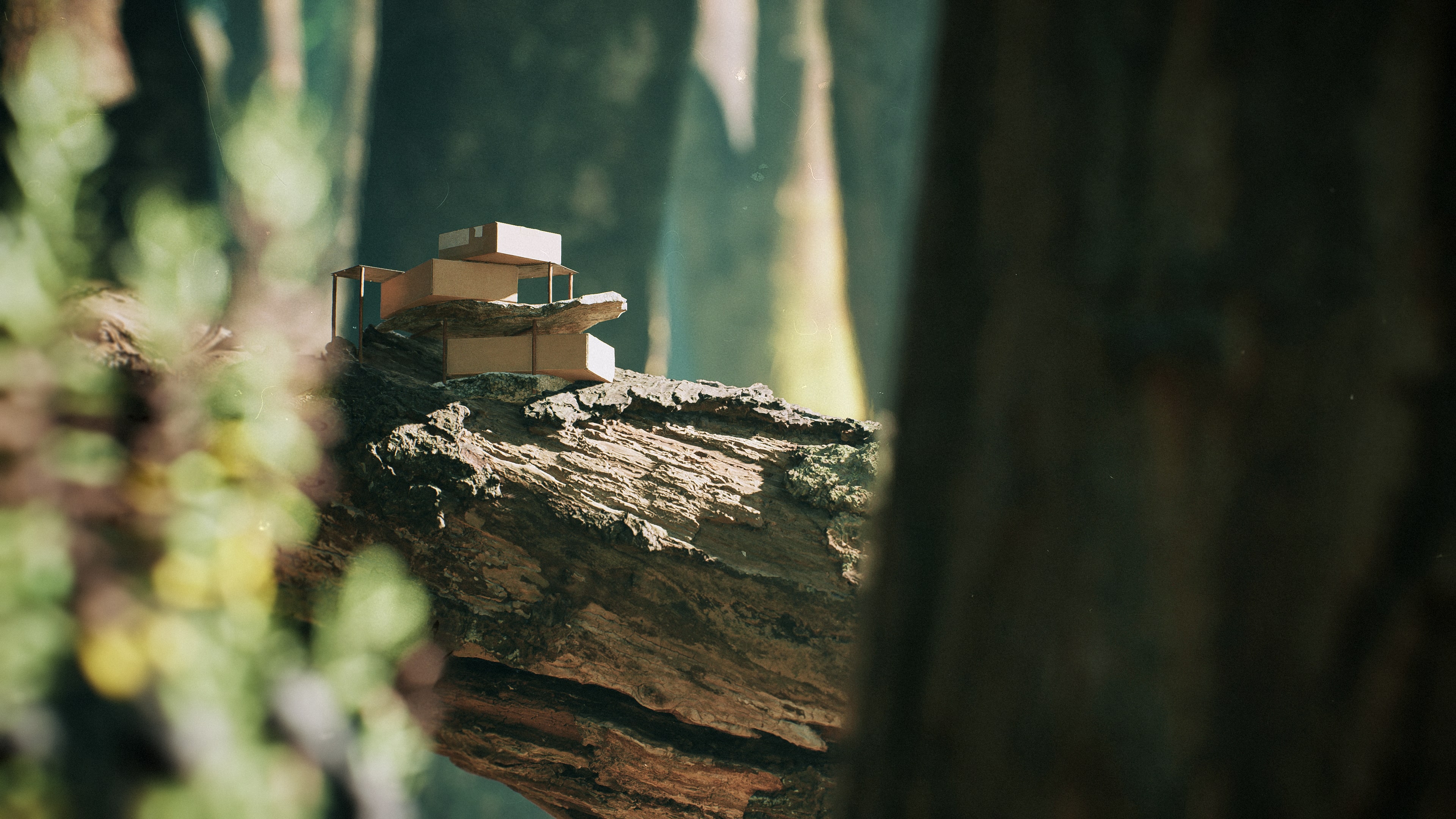 Tiny Homes — architectural concept